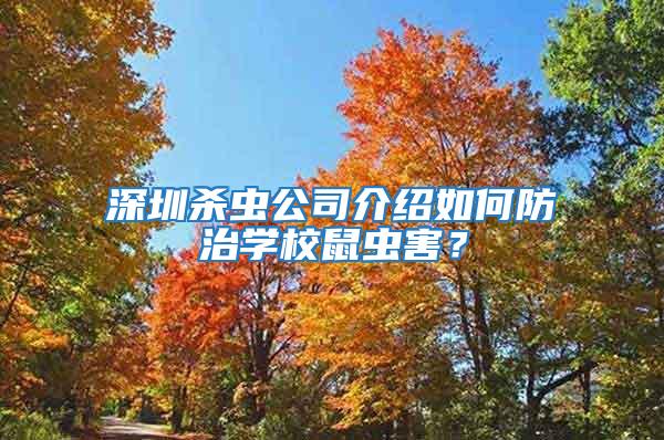 深圳殺蟲公司介紹如何防治學(xué)校鼠蟲害？