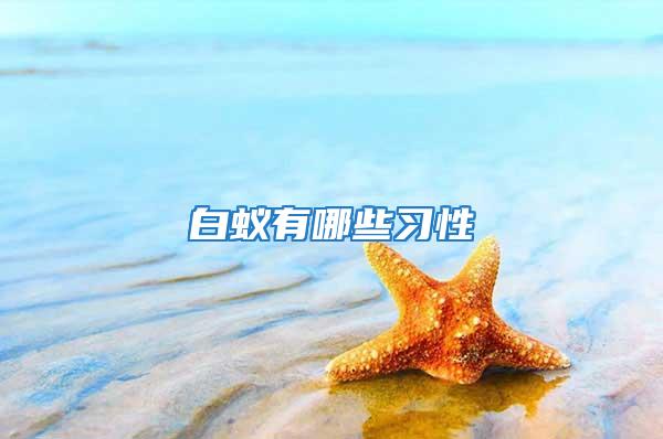 白蟻有哪些習(xí)性