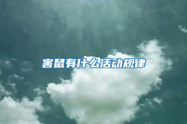 害鼠有什么活動規律