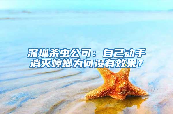 深圳殺蟲公司：自己動手消滅蟑螂為何沒有效果？