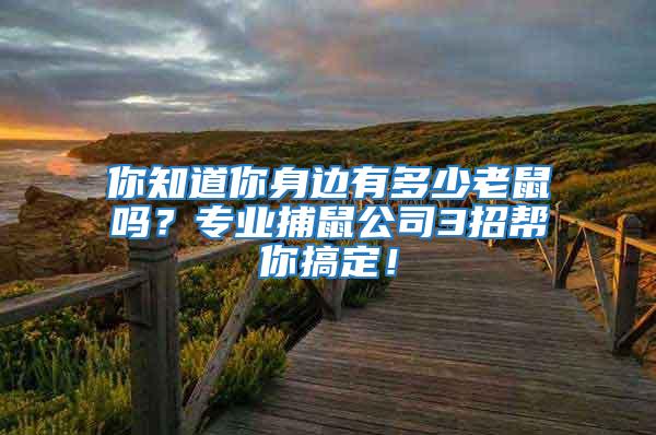 你知道你身邊有多少老鼠嗎？專業(yè)捕鼠公司3招幫你搞定！