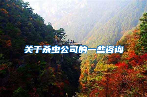 關于殺蟲公司的一些咨詢