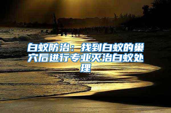 白蟻防治：找到白蟻的巢穴后進行專業滅治白蟻處理