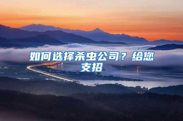 如何選擇殺蟲公司？給您支招