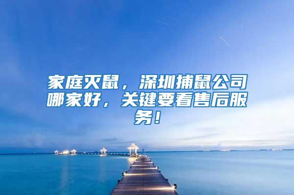家庭滅鼠，深圳捕鼠公司哪家好，關鍵要看售后服務！