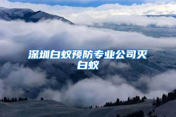 深圳白蟻預防專業公司滅白蟻
