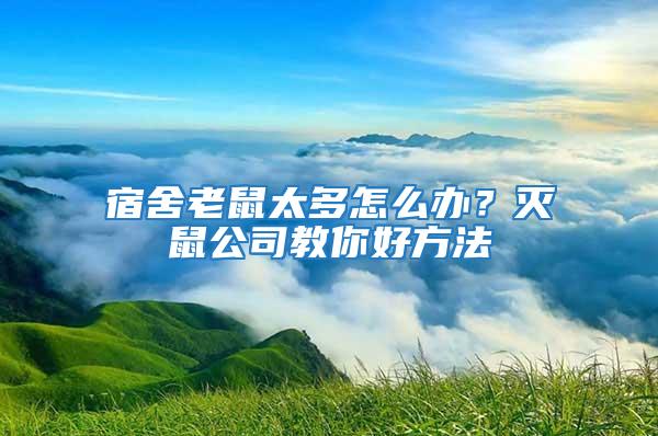 宿舍老鼠太多怎么辦？滅鼠公司教你好方法
