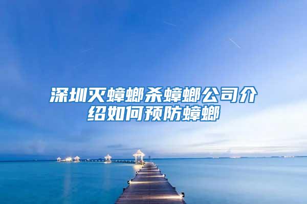 深圳滅蟑螂殺蟑螂公司介紹如何預防蟑螂
