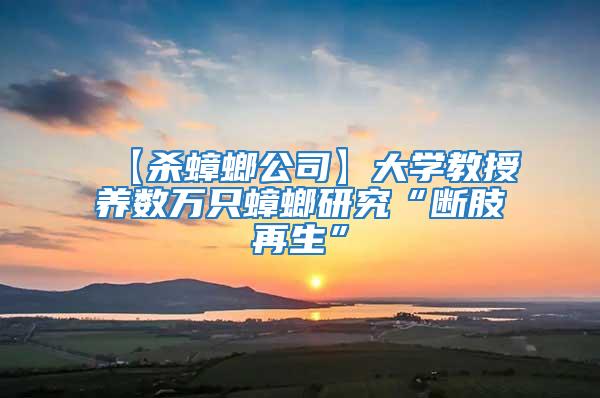 【殺蟑螂公司】大學教授養數萬只蟑螂研究“斷肢再生”