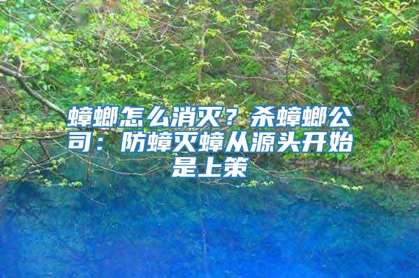 蟑螂怎么消滅？殺蟑螂公司：防蟑滅蟑從源頭開始是上策