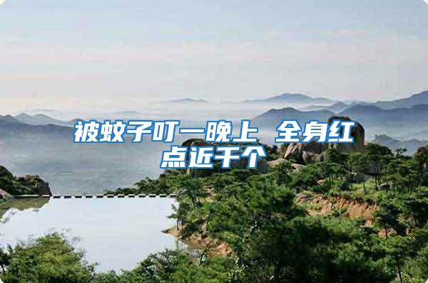 被蚊子叮一晚上 全身紅點近千個
