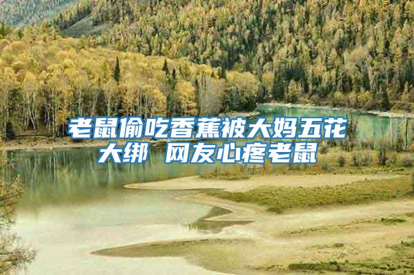 老鼠偷吃香蕉被大媽五花大綁 網友心疼老鼠