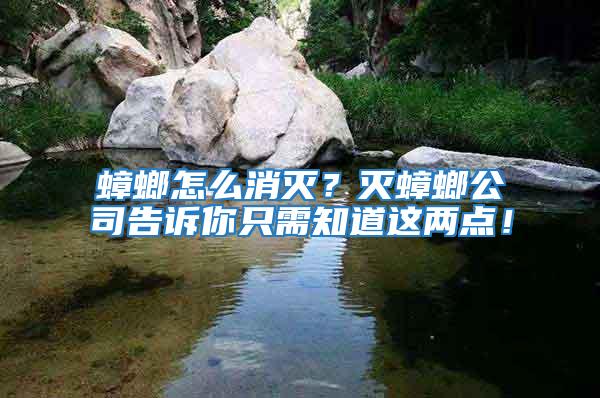 蟑螂怎么消滅？滅蟑螂公司告訴你只需知道這兩點！