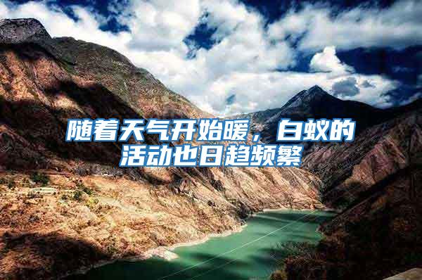 隨著天氣開(kāi)始暖，白蟻的活動(dòng)也日趨頻繁