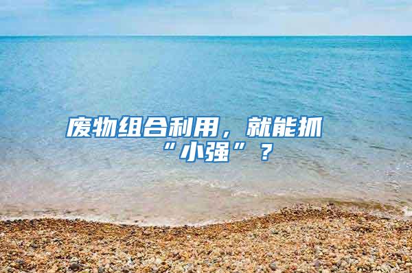 廢物組合利用，就能抓“小強”？