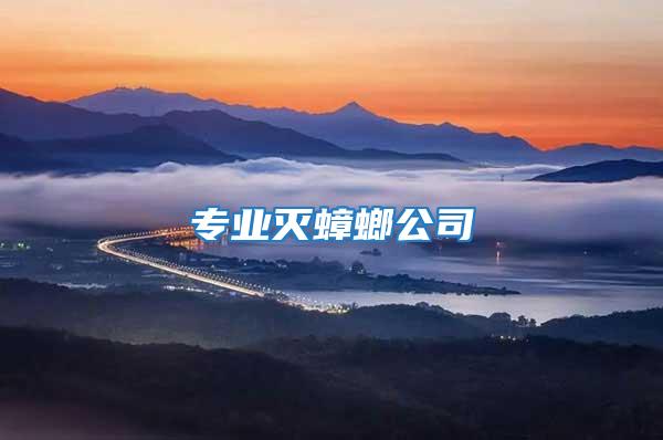 專業滅蟑螂公司