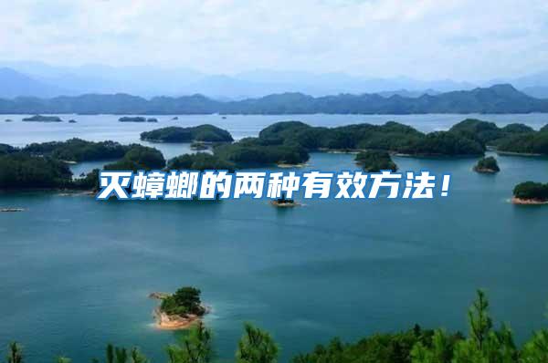 滅蟑螂的兩種有效方法！