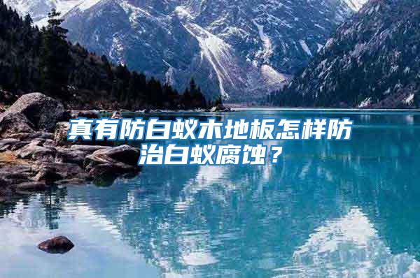 真有防白蟻木地板怎樣防治白蟻腐蝕？