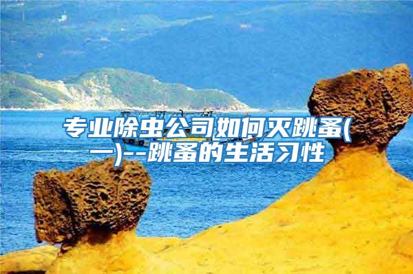 專業(yè)除蟲公司如何滅跳蚤(一)--跳蚤的生活習性