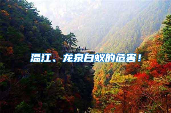 溫江、龍泉白蟻的危害！