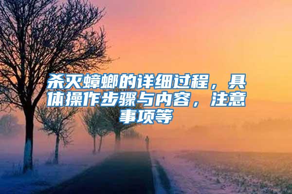 殺滅蟑螂的詳細過程，具體操作步驟與內容，注意事項等