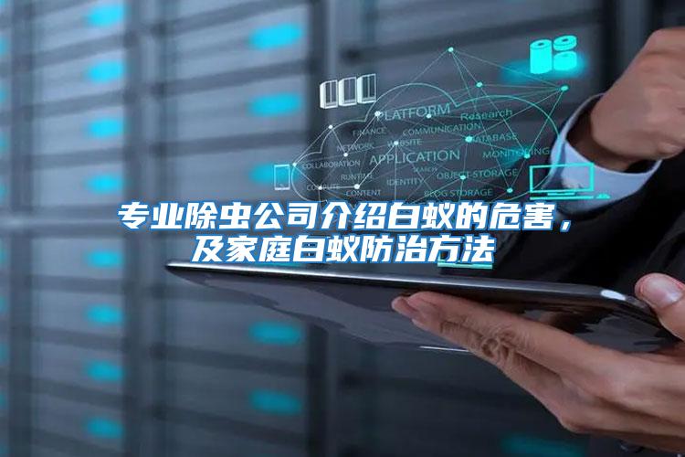 專業(yè)除蟲公司介紹白蟻的危害，及家庭白蟻防治方法