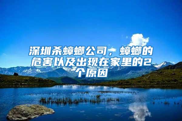 深圳殺蟑螂公司，蟑螂的危害以及出現在家里的2個原因