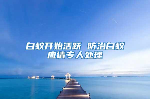 白蟻開始活躍 防治白蟻應請專人處理