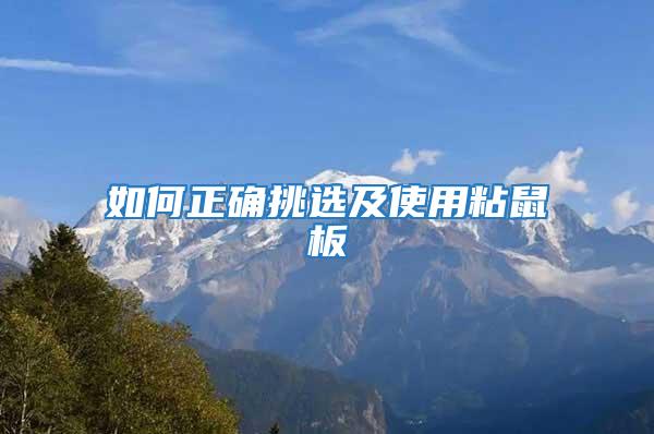 如何正確挑選及使用粘鼠板