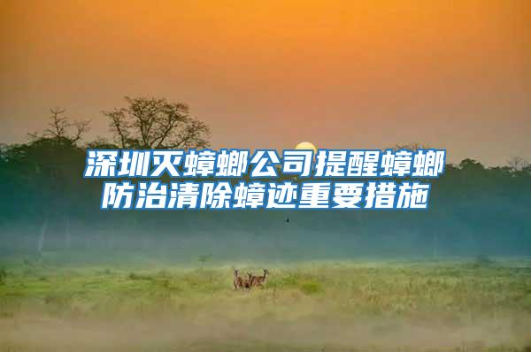 深圳滅蟑螂公司提醒蟑螂防治清除蟑跡重要措施