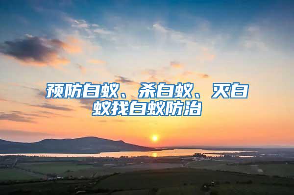 預(yù)防白蟻、殺白蟻、滅白蟻找白蟻防治