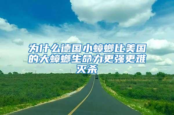 為什么德國小蟑螂比美國的大蟑螂生命力更強更難滅殺