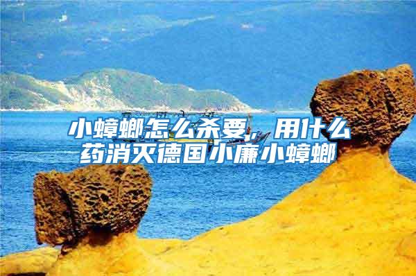 小蟑螂怎么殺要，用什么藥消滅德國小廉小蟑螂