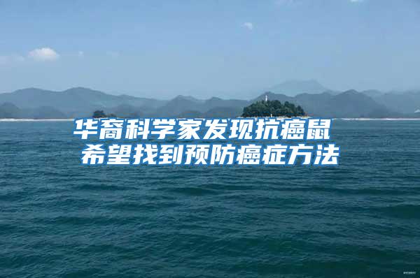 華裔科學家發現抗癌鼠 希望找到預防癌癥方法