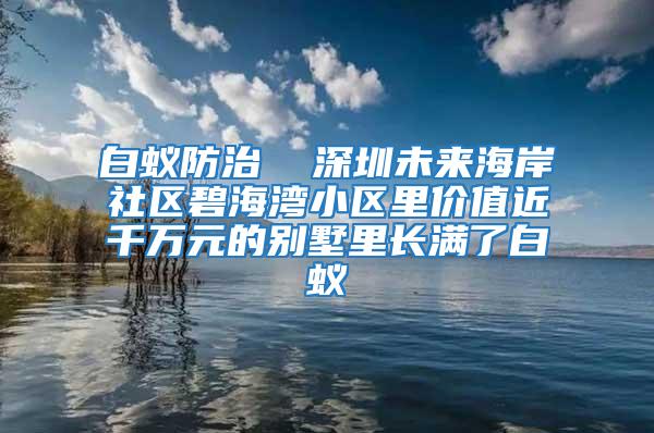 白蟻防治  深圳未來海岸社區碧海灣小區里價值近千萬元的別墅里長滿了白蟻