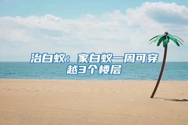 治白蟻：家白蟻一周可穿越3個(gè)樓層
