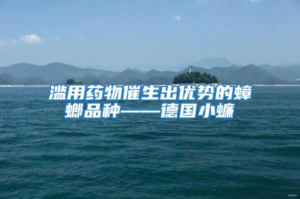 濫用藥物催生出優(yōu)勢(shì)的蟑螂品種——德國(guó)小蠊