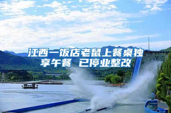 江西一飯店老鼠上餐桌獨享午餐 已停業整改