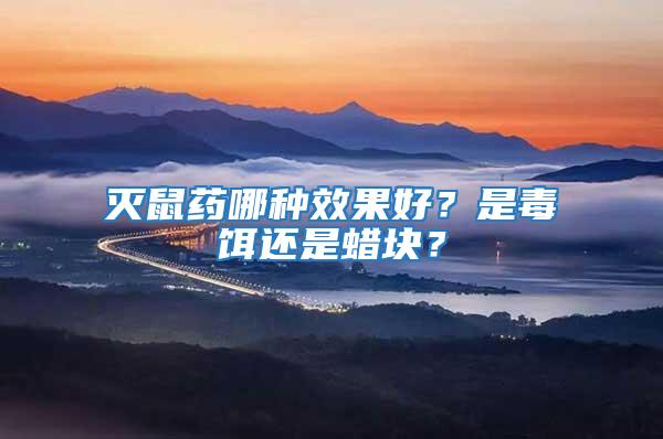 滅鼠藥哪種效果好？是毒餌還是蠟塊？