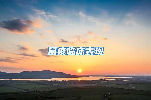 鼠疫臨床表現