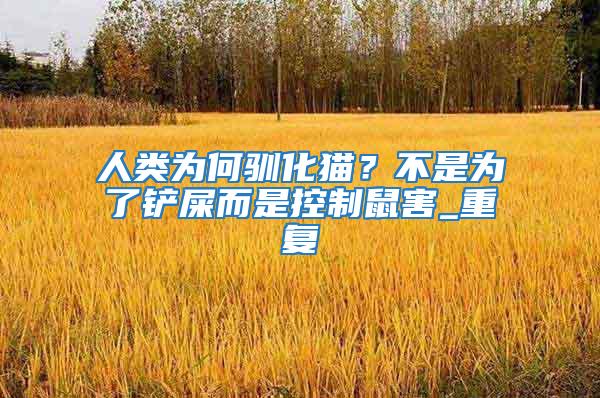 人類為何馴化貓？不是為了鏟屎而是控制鼠害_重復