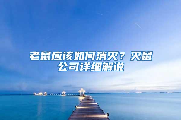 老鼠應該如何消滅？滅鼠公司詳細解說