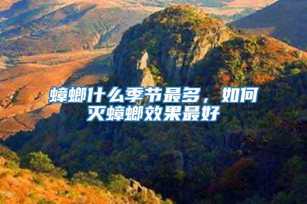 蟑螂什么季節(jié)最多，如何滅蟑螂效果最好