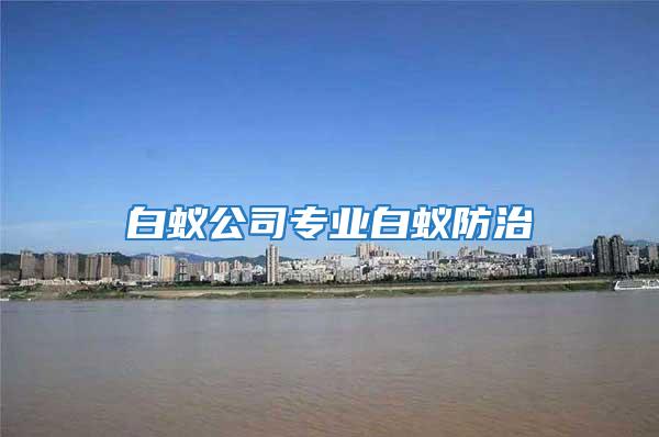 白蟻公司專(zhuān)業(yè)白蟻防治