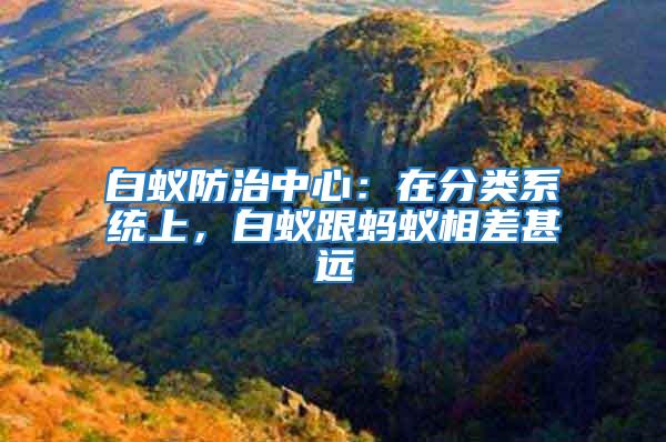 白蟻防治中心：在分類系統上，白蟻跟螞蟻相差甚遠