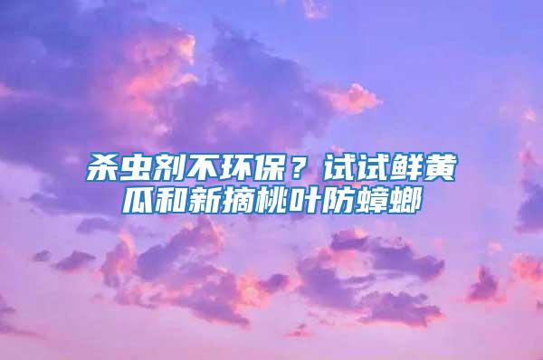 殺蟲劑不環保？試試鮮黃瓜和新摘桃葉防蟑螂