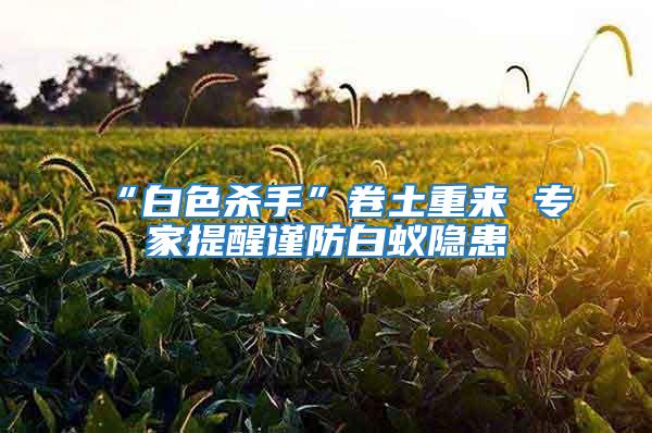“白色殺手”卷土重來 專家提醒謹防白蟻隱患