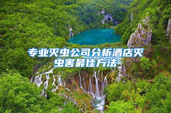專業滅蟲公司分析酒店滅蟲害最佳方法