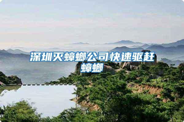 深圳滅蟑螂公司快速驅趕蟑螂