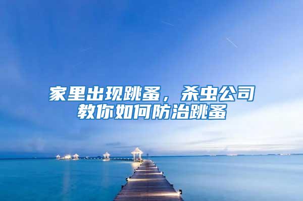 家里出現(xiàn)跳蚤，殺蟲公司教你如何防治跳蚤